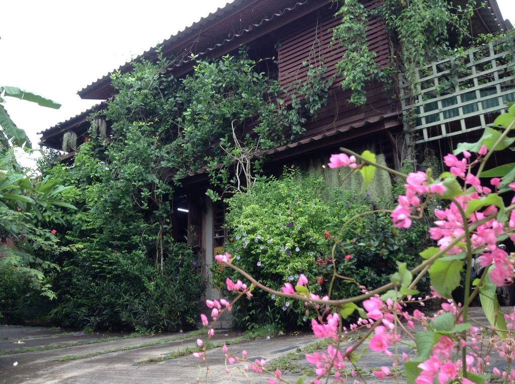 Banban Nannan Library And Guesthome *